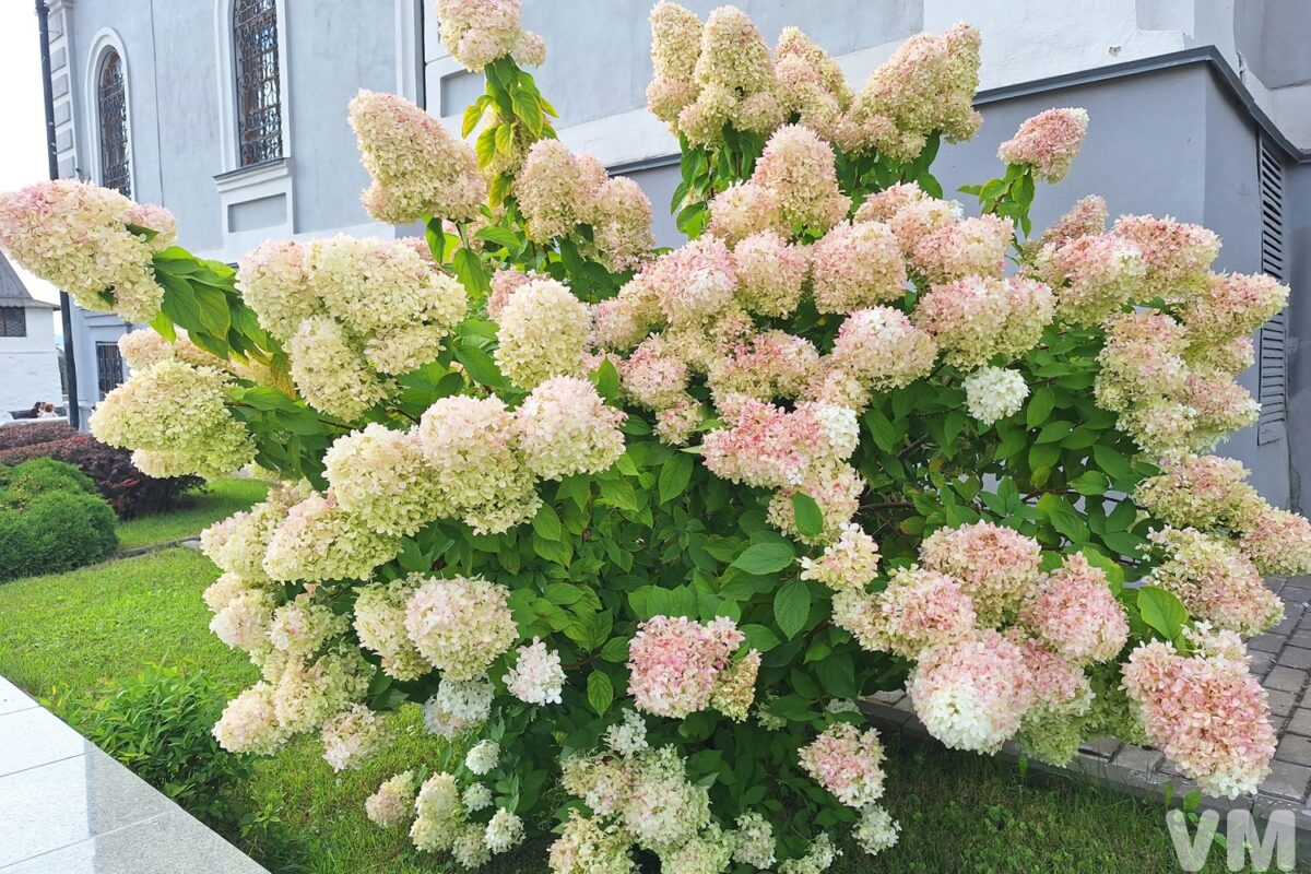 20260819_145156 Казань